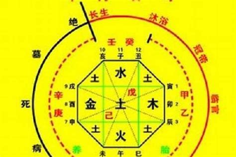 八字忌金|八字忌神 金 (八字忌神金的格局带金项链好不好)